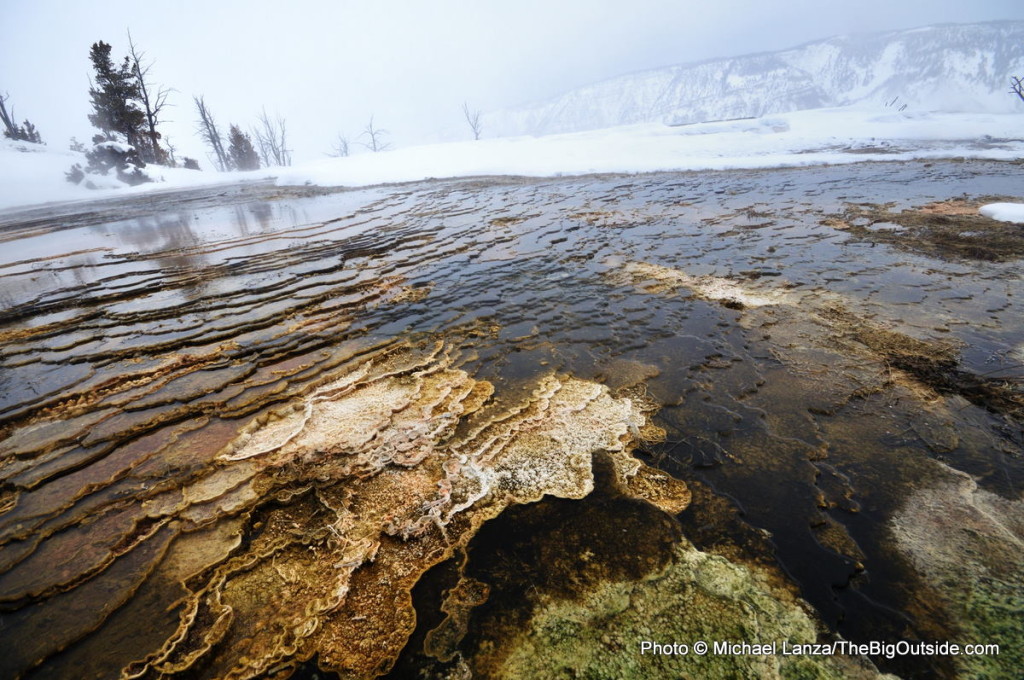 Upper terraces, Mammoth Hot Springs.