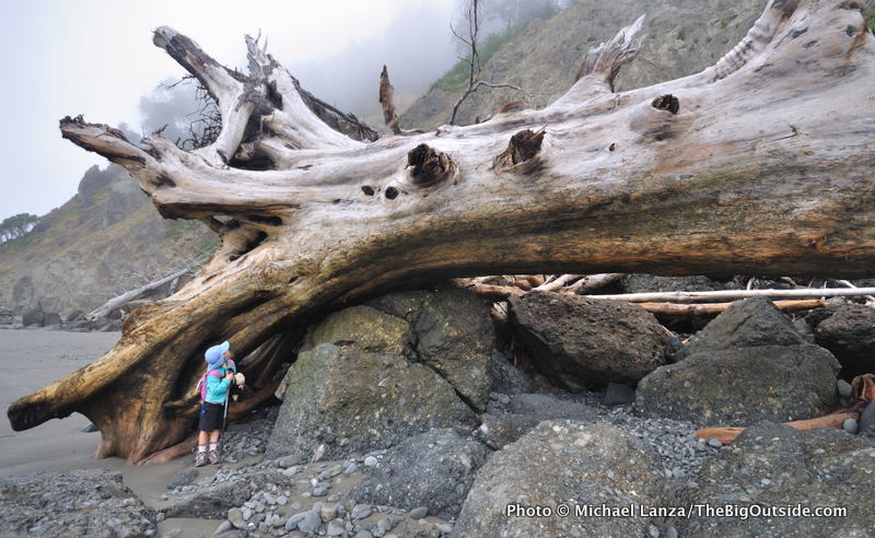 Olym5-9 Headland at Diamond Rock, Olympic coast, WA