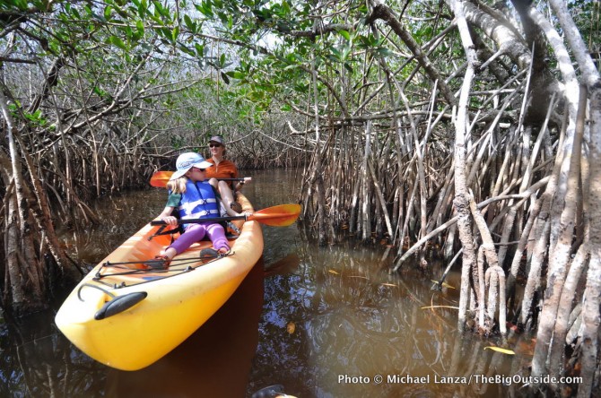 Glades1-28 Mangrove tunnel, East River, Fakahatchee Strand, FL copy