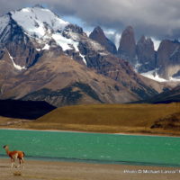 Pata1-11 Torres del Paine, Patagonia (2)