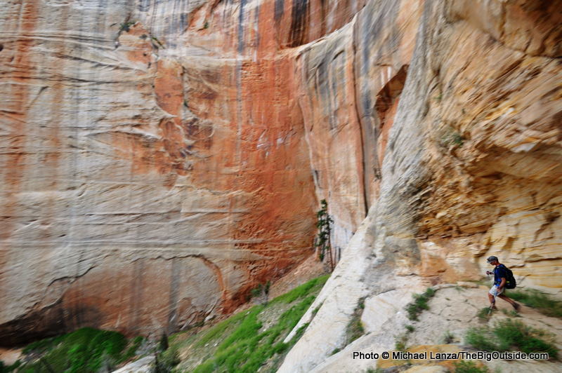 Zion3-45 West Rim Trail, Zion NP