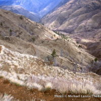 Hel5-6 Saddle Creek Trail, Hells Canyon, OR copy