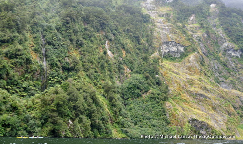 NZ2-24 Hall Arm, Doubtful Sound, Fiordlands