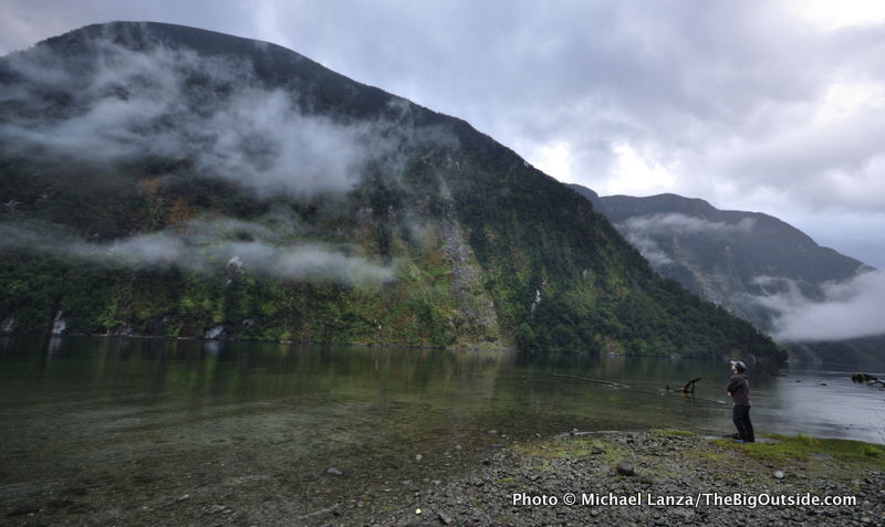 NZ2-27 Hall Arm, Doubtful Sound, Fiordlands