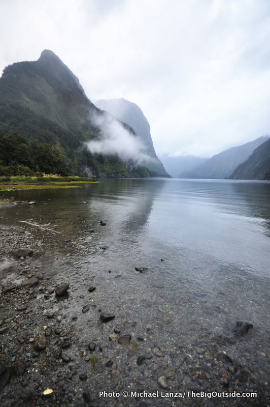 NZ2-31 Hall Arm, Doubtful Sound, Fiordlands