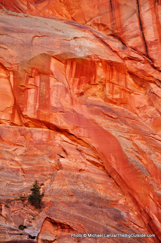 Zion2-45 In La Verkin Creek Valley