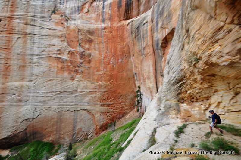 Zion3-45 West Rim Trail, Zion NP