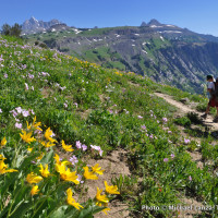 Backpackers on Death Canyon Shelf, Grand Teton National Park, Wyoming