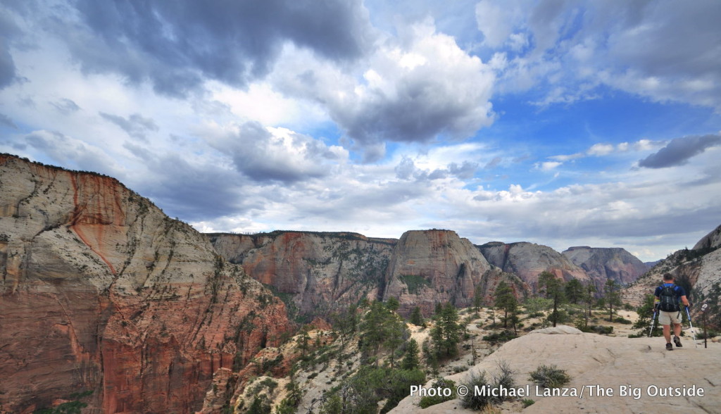 Above Zion Canyon on the West Rim Trail, Zion National Park, Utah.