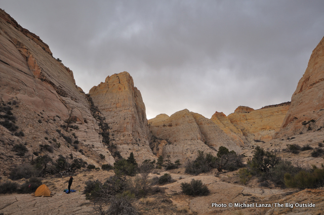 Unnamed canyon, Capitol Reef National Park.