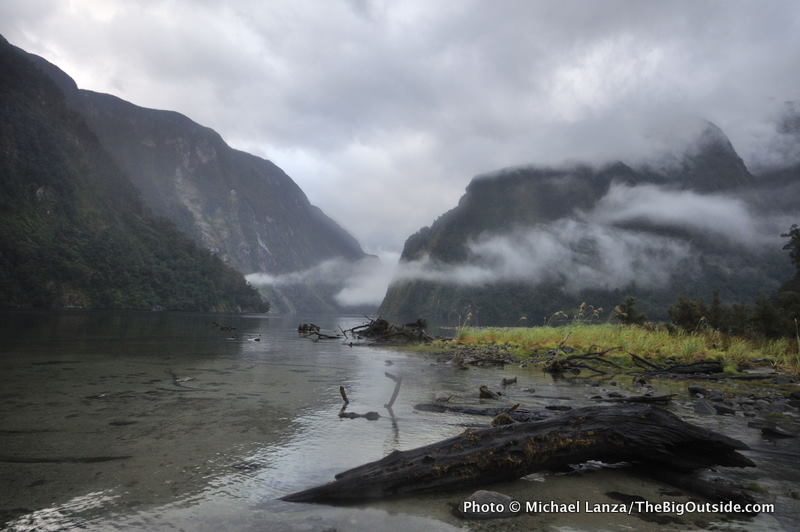 Hall Arm, Doubtful Sound, Fiordlands National Park, New Zealand.