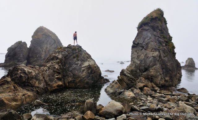 Toleak Point, Olympic National Park.