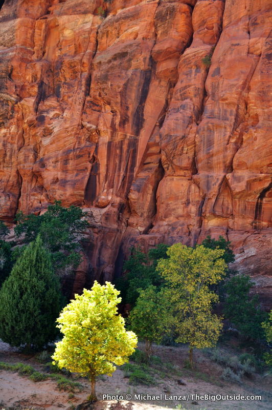 Hop Valley, Zion National Park.
