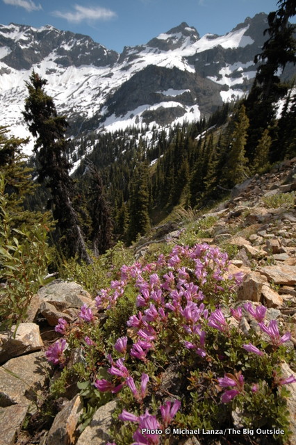 Heather Pass-Maple Pass Loop, North Cascades National Park, Washington.